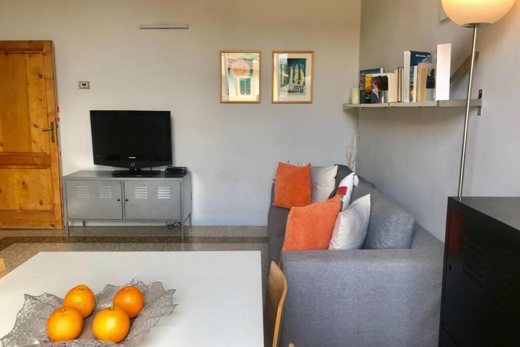 Sunny Top Floor In San Frediano Firenze Kültér fotó