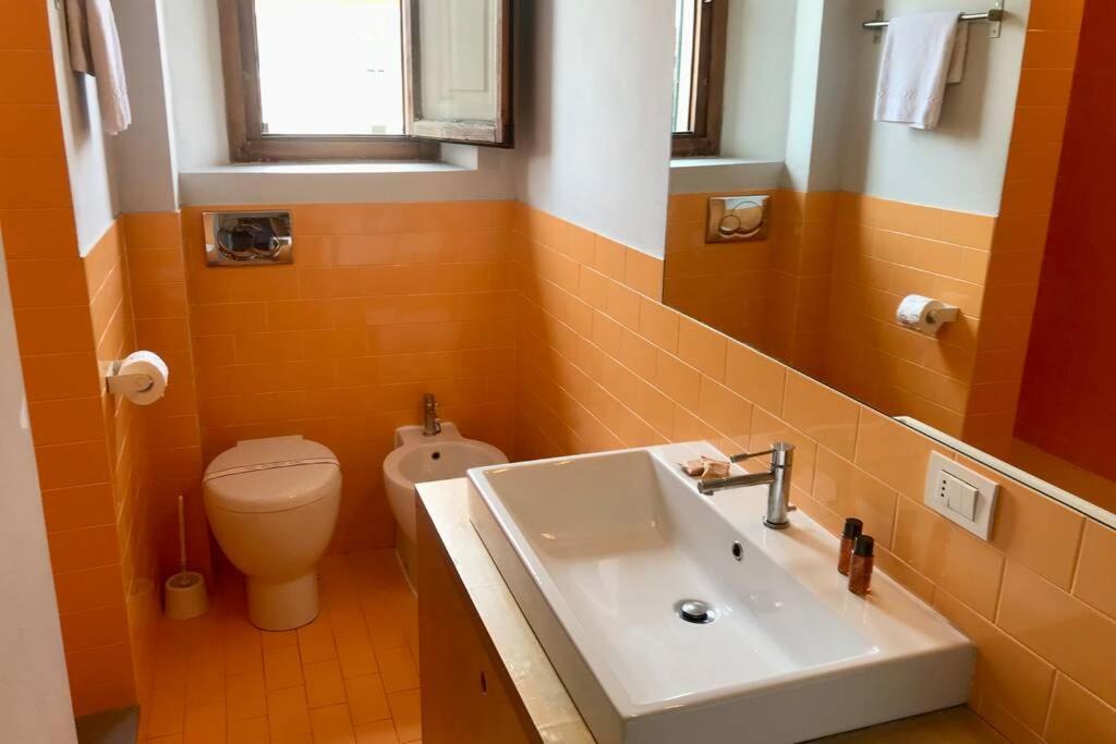Sunny Top Floor In San Frediano Firenze Kültér fotó